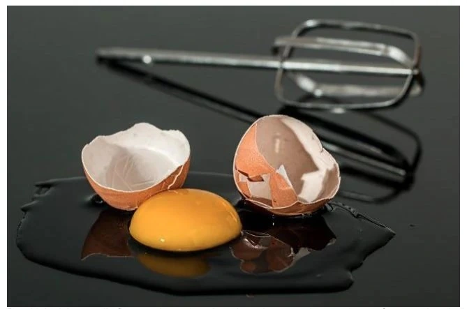 Proteinbiologisk værdi